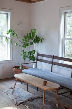 a living room with a couch, coffee table and potted plant