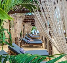 lounge chairs are lined up on the beach under a canopy with palm trees in the background