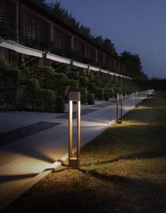 some lights that are on the side of a road near grass and bushes at night