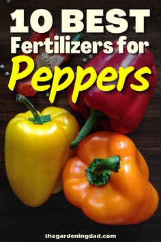 peppers with the words 10 best fertilizers for peppers on top of them