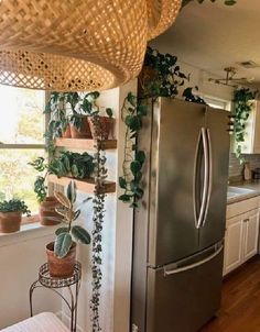 a kitchen filled with lots of potted plants next to a metal refrigerator freezer