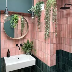 a bathroom with pink tiles and green plants hanging from the wall next to a white sink