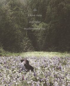 two people are sitting in the middle of a field with wildflowers and trees