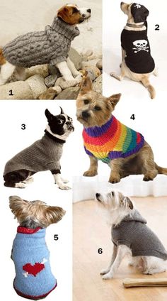 four pictures of dogs wearing sweaters with different colors and sizes, all showing their names