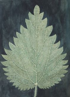 a painting of a green leaf on a black background