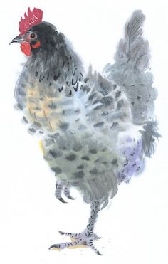 a watercolor painting of a black and white chicken with a red comb on it's head