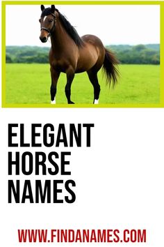 a brown horse standing on top of a lush green field next to the words elegant horse names