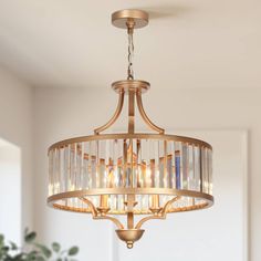 a chandelier hanging from the ceiling in a room with a potted plant