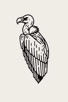 an eagle sitting on top of a tree branch with its wings spread out and it's head turned to the side