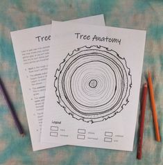 two tree stumps with pencils on top of them next to some writing paper