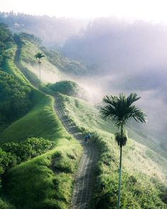 two people riding bikes down a trail in the mountains on a foggy day with palm trees