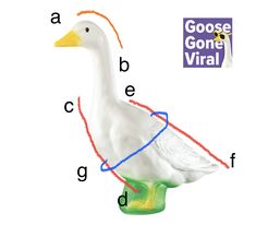 a goose is shown with the letter d on it's head and letters in different colors