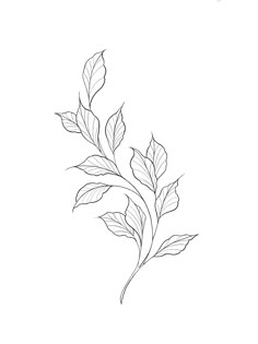 Leaf Tattoo Template, Tattoos Of Leaves, Philodendron Tattoo Leaves, Simple Leaf Tattoo Design, Leave Vine Tattoo, Vines And Leaves Tattoo, Leaves Tattoo Drawing, Simple Leaves Tattoo