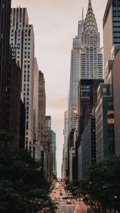 an empty city street with tall buildings in the back ground and trees on both sides