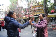 two women holding up small trees with pink flowers