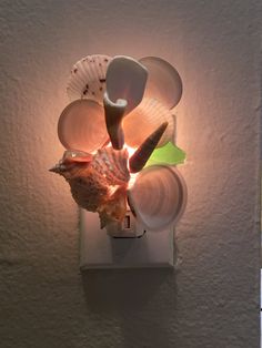 a light that is on the side of a wall with shells and seashells