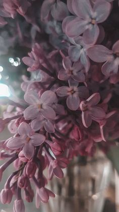 purple flowers are in a glass vase on a table