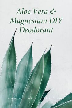 Diy Magnesium Deodorant, Magnesium Hydroxide Deodorant Recipe, Diy Deodorant No Coconut Oil, Magnesium Deodorant Recipe, Scrub Business, Deodorant Diy, Aloe Vera Deodorant, Aloe Vera Uses, Homemade Deodorant Recipe