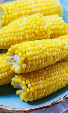 corn on the cob is sitting on a blue plate