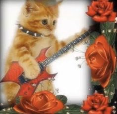 an orange kitten is holding a red guitar in front of flowers and roses on a black background