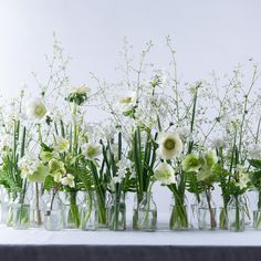 several clear vases filled with white and green flowers