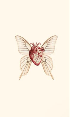 a drawing of a heart in the shape of a butterfly with wings spread over it