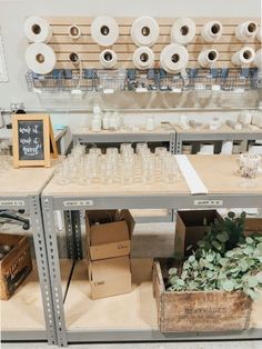 the shelves are full of toilet paper rolls and boxes with plants in front of them