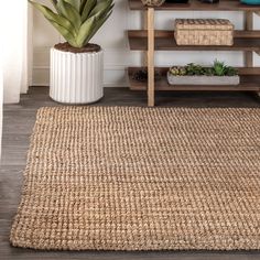 a living room area with a rug, potted plant and shelves