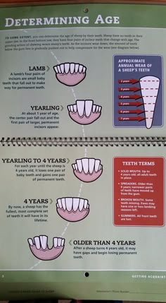 a sign explaining the different stages of teeth and how they are used for dental care