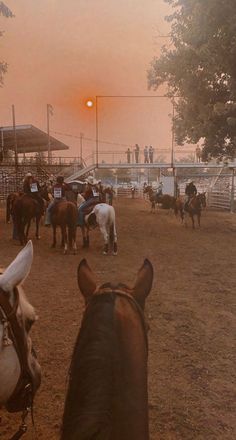 horses and riders in an enclosed area at sunset