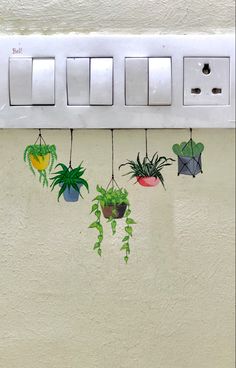 some plants are hanging from a light switch