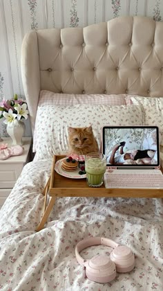 a cat sitting on top of a bed next to a tray with food and drink