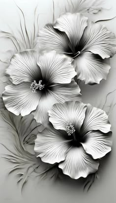 three white flowers with black centers on a gray background