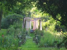 an outdoor garden with lots of plants and trees