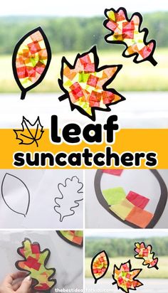 leaf suncatchers made with tissue paper and colored construction paper are the perfect fall craft for kids