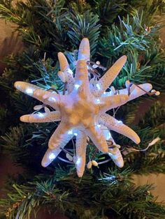 a white starfish ornament hanging from a christmas tree with lights on it