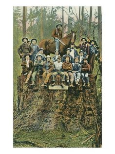 a group of people sitting on top of a tree stump with a horse in the background