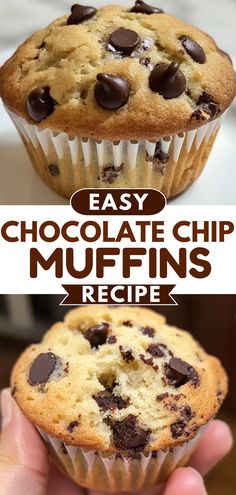 chocolate chip muffins are the perfect treat to eat for breakfast and desserting