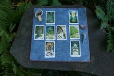 a tarp with pictures of animals and plants on it sitting next to some ferns