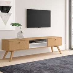 a living room with a television on the wall and a plant in a vase next to it