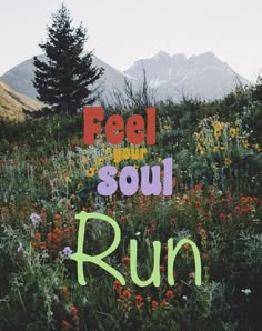 the words feel your soul run are painted in bright colors on a field of wildflowers