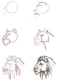 several different types of animals drawn on paper