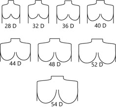 How to Find Your Bra Size: The Easy Guide - Our Fashion Garden Minimalist Wardrobe Essentials, Body Bra