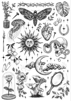 an ink drawing of various items in the shape of flowers and leaves, including moths