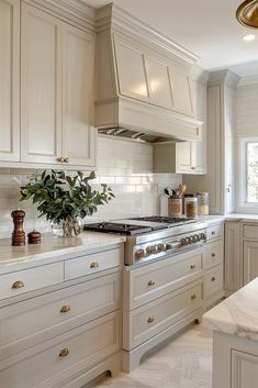 a kitchen with white cabinets and marble counter tops, along with a large potted plant on the stove