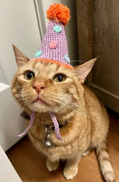 an orange cat wearing a pink knitted hat