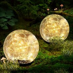 two lights that are sitting on the ground in the grass with mushrooms and trees behind them