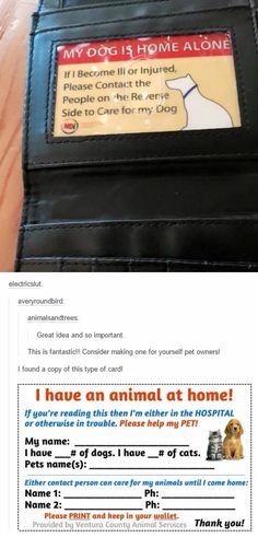 a dog is sitting in the back pocket of a leather wallet that has an information card attached to it