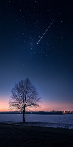 a lone tree is silhouetted against the night sky with an airplane in the distance