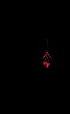 two red boxing gloves hanging from a black rope in the dark with no one around them